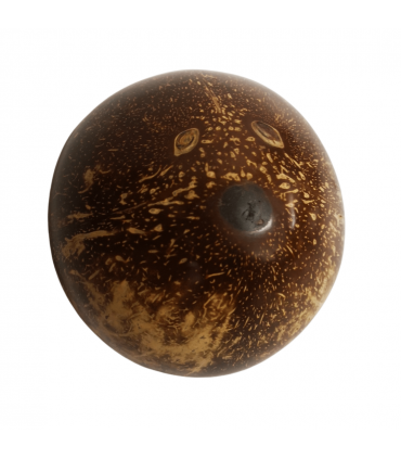 KARIMBA PINTADA