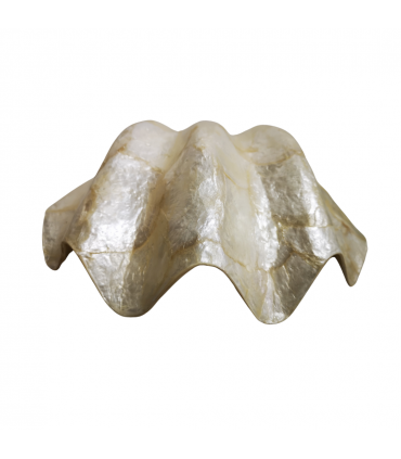 CUENCO PEREGRINA NÁCAR GRANDE