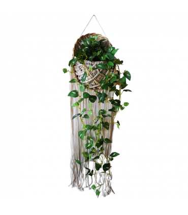 MACETERO BAMBÚ Y MACRAMÉ