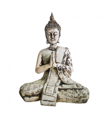 BUDA THAI 20 CM
