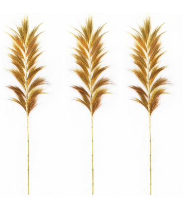 PLUMAS DE RAJUN NATURAL