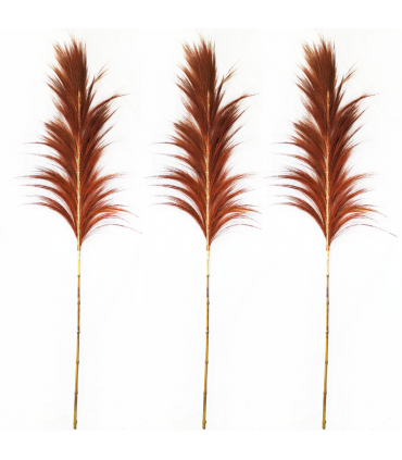 PLUMAS DE RAJUN NATURAL