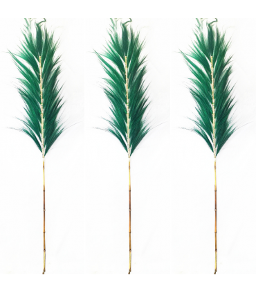 PLUMAS DE RAJUN NATURAL