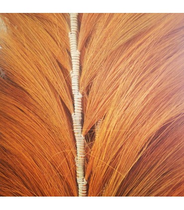 PLUMAS DE RAJUN NATURAL