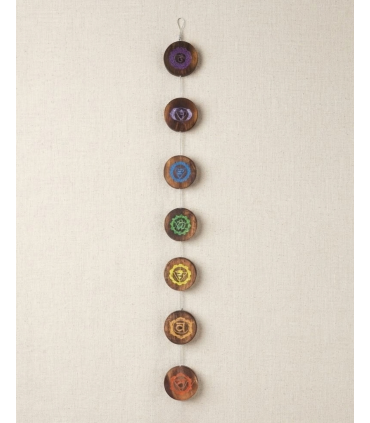 CÍRCULOS CON LOS 7 CHAKRAS
