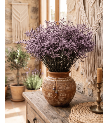LIMONIUM PRESERVADO