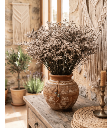 LIMONIUM PRESERVADO