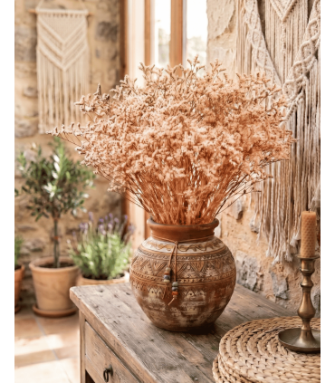 LIMONIUM PRESERVADO