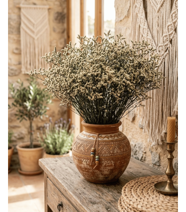 LIMONIUM PRESERVADO