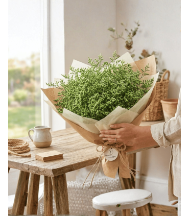 LIMONIUM PRESERVADO