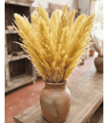 CARRIZO PRESERVADO