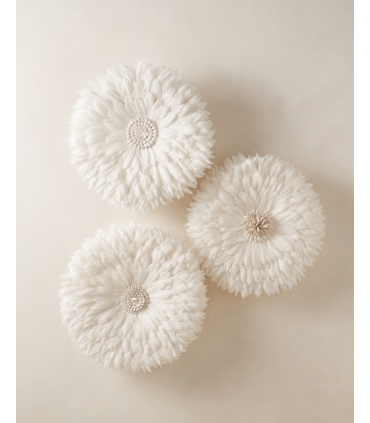 DECORACIÓN PARED PLUMAS CONCHA 60 CM